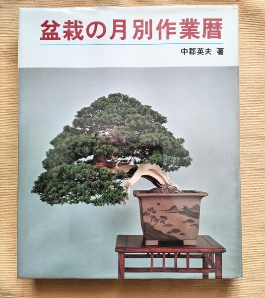 盆栽 盆栽の月別作業暦