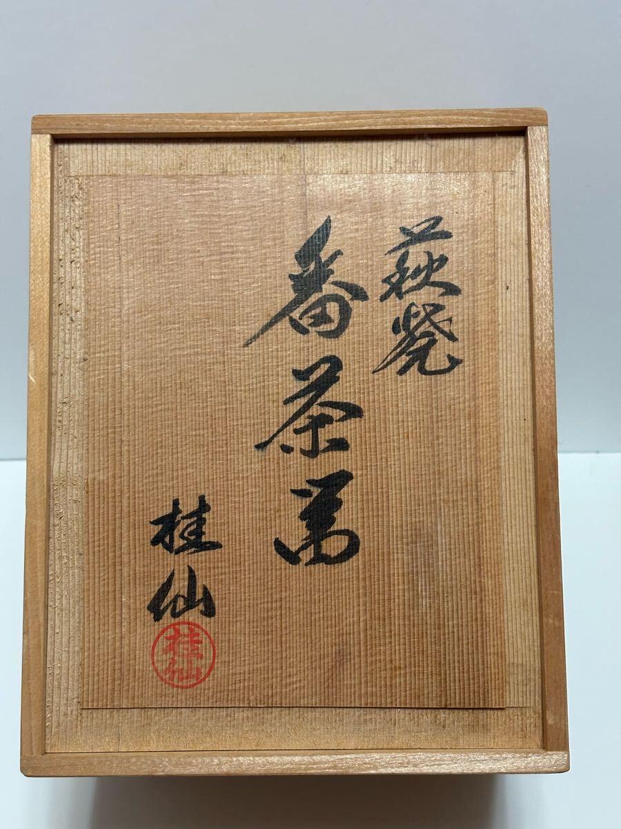 未使用品 茶道具 井戸形 萩焼 茶碗 大谷桂仙 共箱 陶芸 抹茶