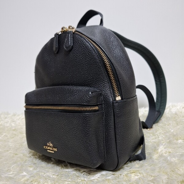 コーチ COACH レザー リュック バックパック ミニリュック 無地 ブラック F38263 クリーニング済