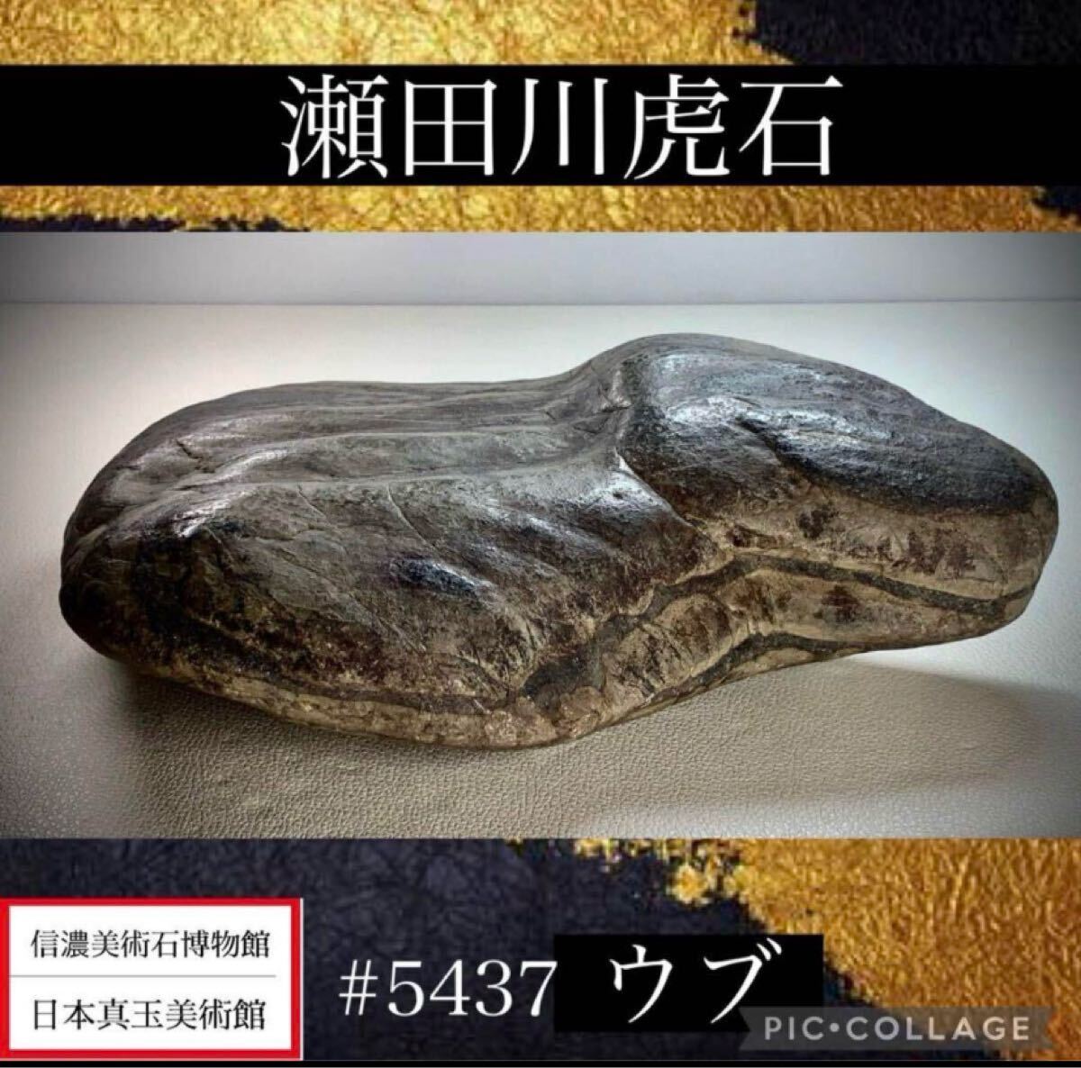 Yahoo!オークション -「瀬田川虎石」の落札相場・落札価格 Yahoo!オークション -「瀬田川虎石」の落札相場・落札価格