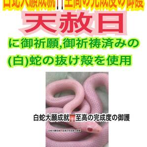 赤目の白蛇様 フォト ベビー 赤ちゃん 白蛇の抜け殻 写真 開運 金運 健康運 メモリーオイル 脱け殻 白蛇のお守り【天赦日ご祈祷済み】20