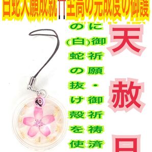 白蛇の抜け殻 脱け殻 ストラップ 花 チャーム 桃 メモリーオイル 強力な白蛇のお守り【天赦日ご祈祷済み】財布 招福鈴 第4チャクラ 23
