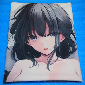 【正規品・中古】 冬花 抱き枕カバー くっきおーれ
