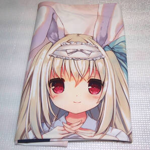 【正規品・中古】 兎耳っ娘シンシア 抱き枕カバー p19 practice