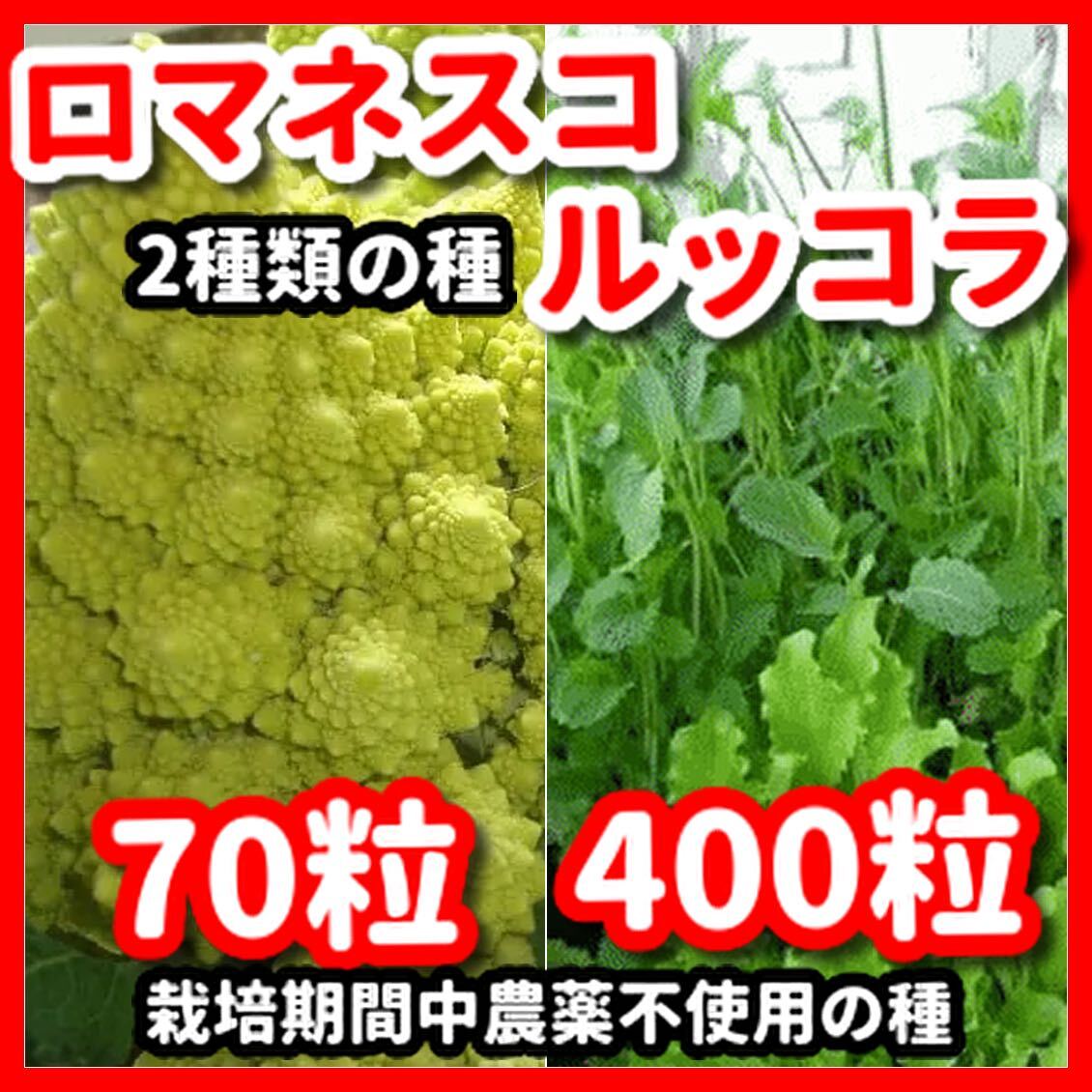 ＊ルッコラページ＊ 2025年最新】Yahoo!オークション -ルッコラ 種の中古品・新品