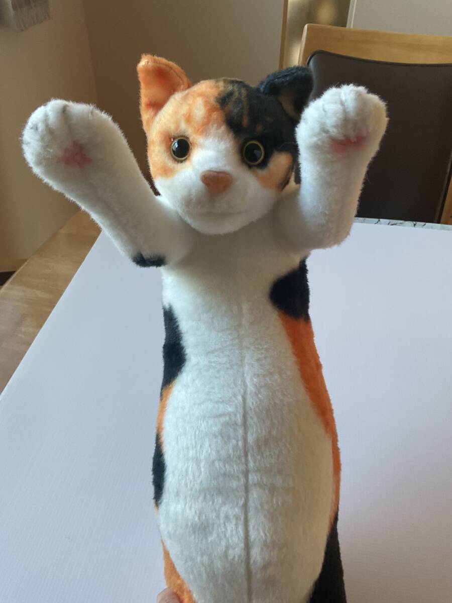 リアルなねこちゃんのぬいぐるみ 3体セット 希少品 バラ売り/お値下げ不可 2025年最新】Yahoo!オークション -三毛猫ぬいぐるみ(ぬいぐるみ