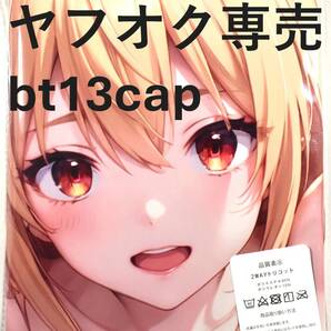 送料無料【ひきこまり吸血姫の悶々 テラコマリ】 サイズ90cm×45cm 抱き枕カバー 新品未開封 同人グッズ