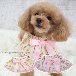 ケープ ネックアクセ 1~6号 P830 P831レース フォーマル フリル かわいい 極小犬 パピー 超小型犬 小型犬 犬 猫 ペット 服 犬服 猫服