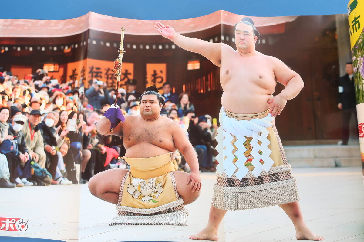 Yahoo!オークション -「相撲 稀勢の里」の落札相場・落札価格