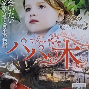 中古DVD パパの木
