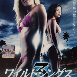 中古DVD ワイルドシングス 3