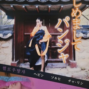 中古DVD はじめましてパンジャ