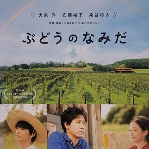 中古DVD ぶどうのなみだ