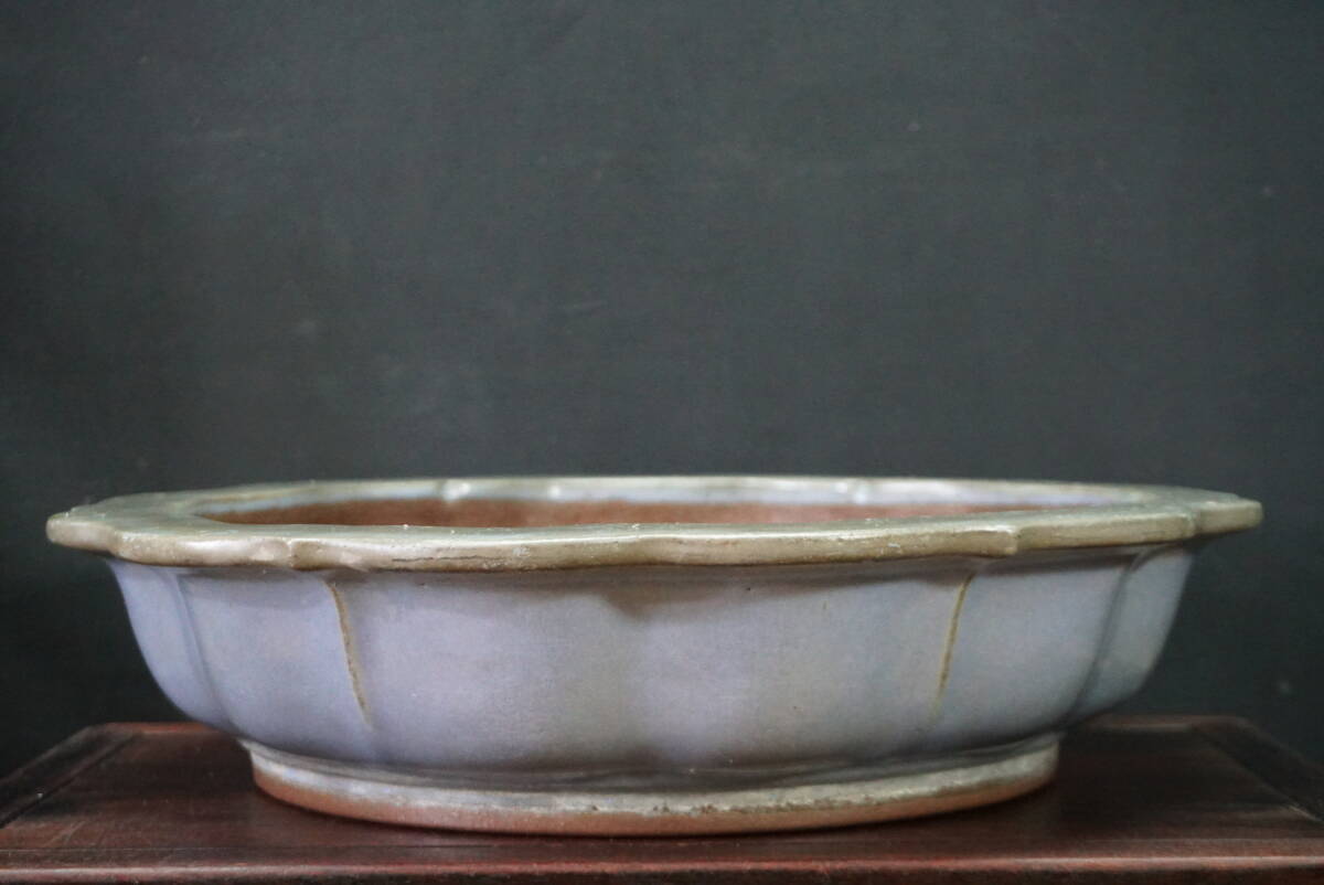 ★盆栽日和★ 和鉢 【山秋】 均釉外縁古鏡型鉢 41.3㎝ (k)