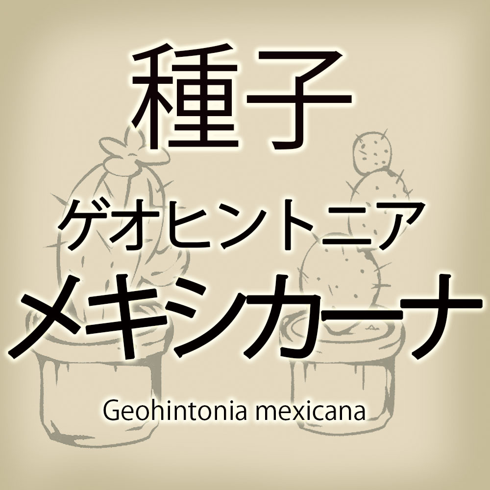 Yahoo!オークション -「メキシカーナ」(サボテン) (観葉植物)の Yahoo!オークション -「メキシカーナ」(サボテン) (観葉植物)の