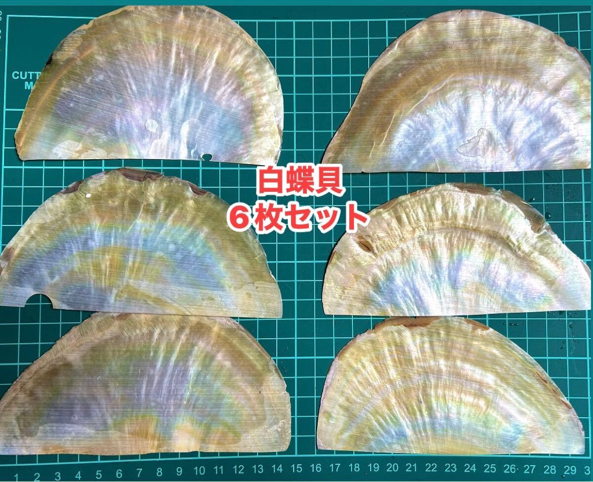 2025年最新】Yahoo!オークション -白蝶貝 貝殻の中古品・新品 2025年最新】Yahoo!オークション -白蝶貝 貝殻の中古品・新品