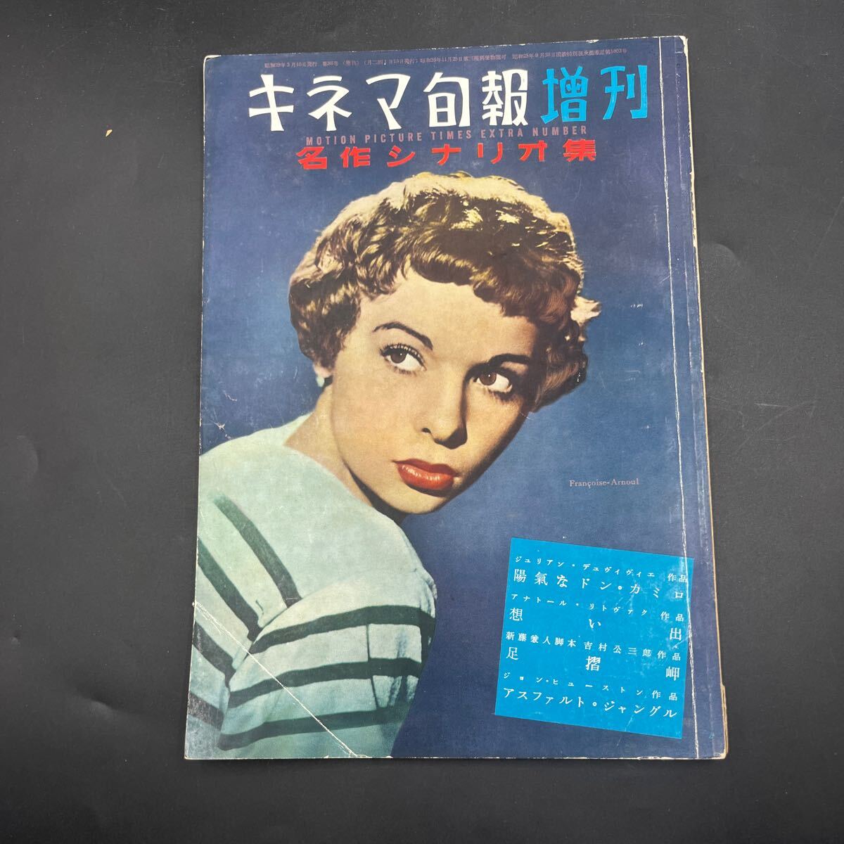 楽天市場】アスファルト ジャングルの通販