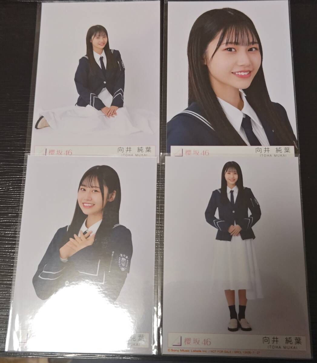 2025年最新】Yahoo!オークション -向井純葉の中古品・新品・未 2025年最新】Yahoo!オークション -向井純葉の中古品・新品・未