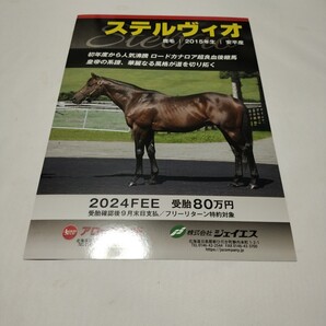 ステルヴィオ 種牡馬パンフレット アロースタッド 送料無料