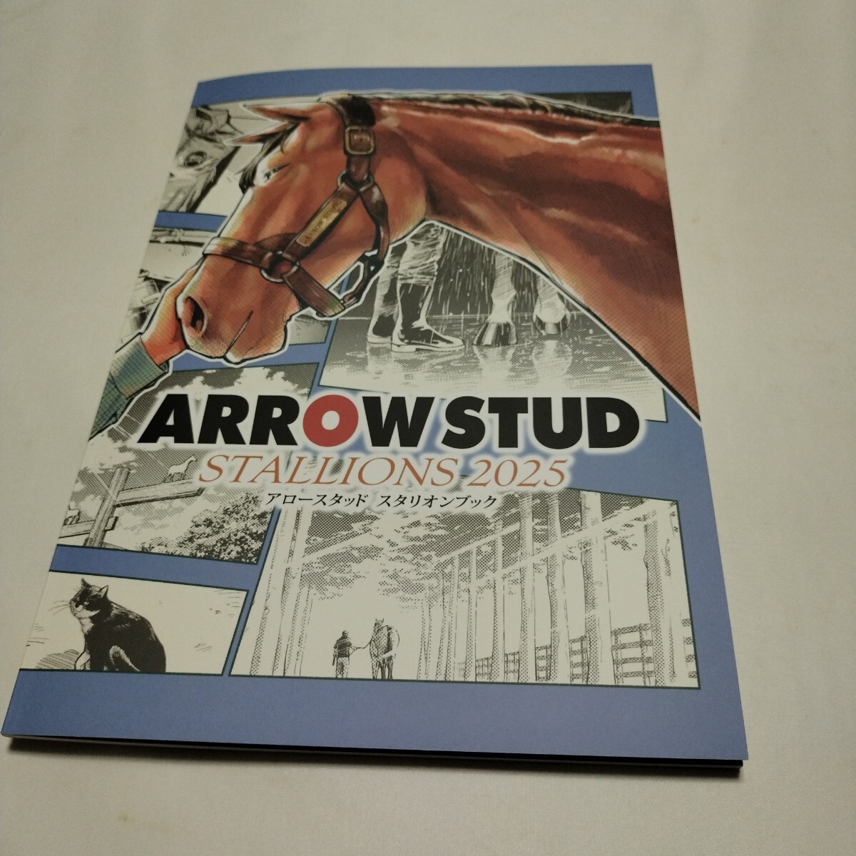 スタリオンブック　コントレイル　たてがみ　競馬　価格交渉可 スタリオンブック コントレイル たてがみ 競馬 価格交渉可