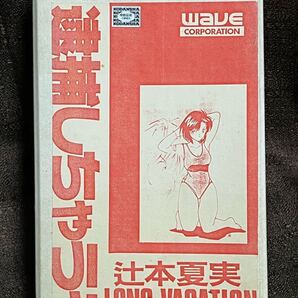 A2 wave 1/8スケール 辻本夏実 逮捕しちゃうぞ ロングバケーション 先行販売品 ウェーブ 未開封 未組立 ガレージキット S14