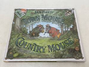 【B-2】 The Town Mouse and the Country Mouse 洋書