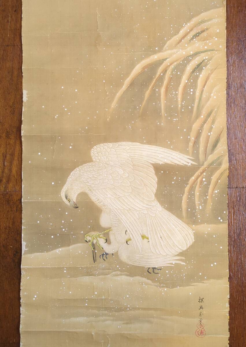 横山大観 鷹図鷲図 肉筆 日本画 水彩 写真や印刷ではない紙本著色 yt14e 横山大観 鷹図鷲図 肉筆 日本画 水彩 写真や印刷ではない紙 - 絵画