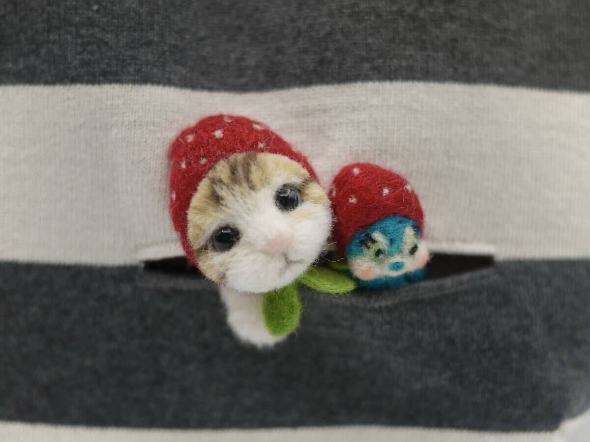 Yahoo!オークション -「羊毛フェルト 猫 茶トラ」の落札相場