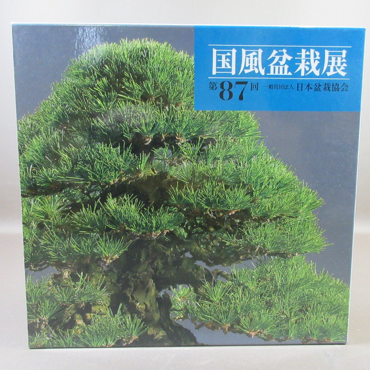 2025年最新】Yahoo!オークション -国風盆栽展の中古品・新品・未