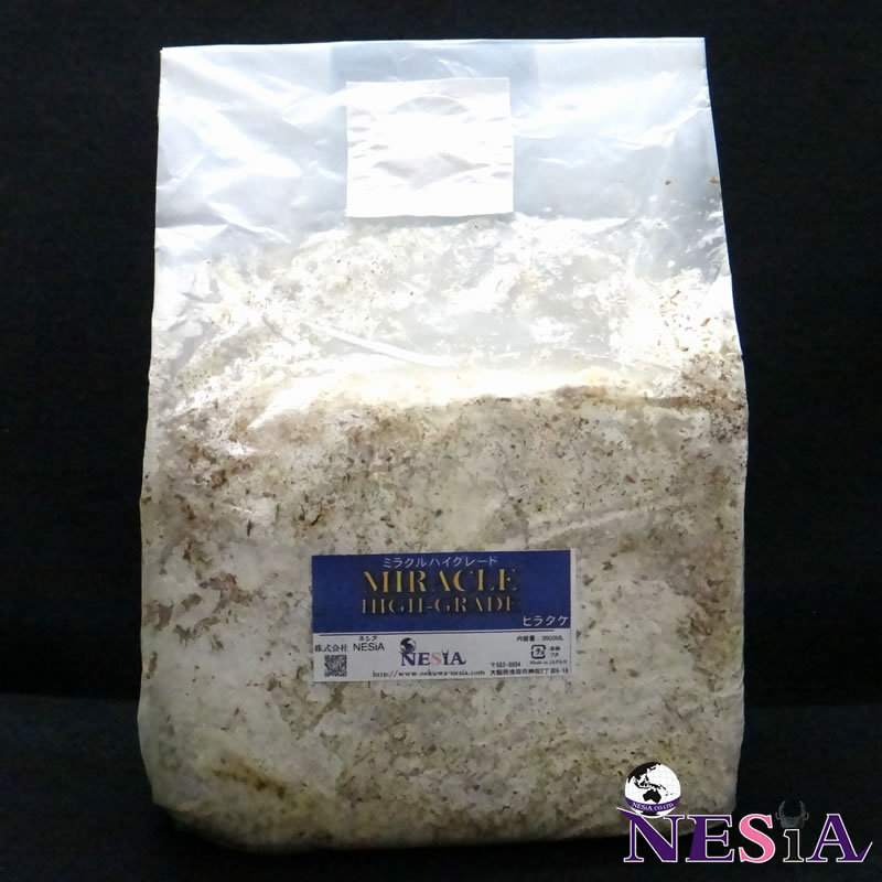 【世界の昆虫ショップNESiA】ミラクルハイグレード ヒラタケ 3500(6個セット)【菌糸ブロック】