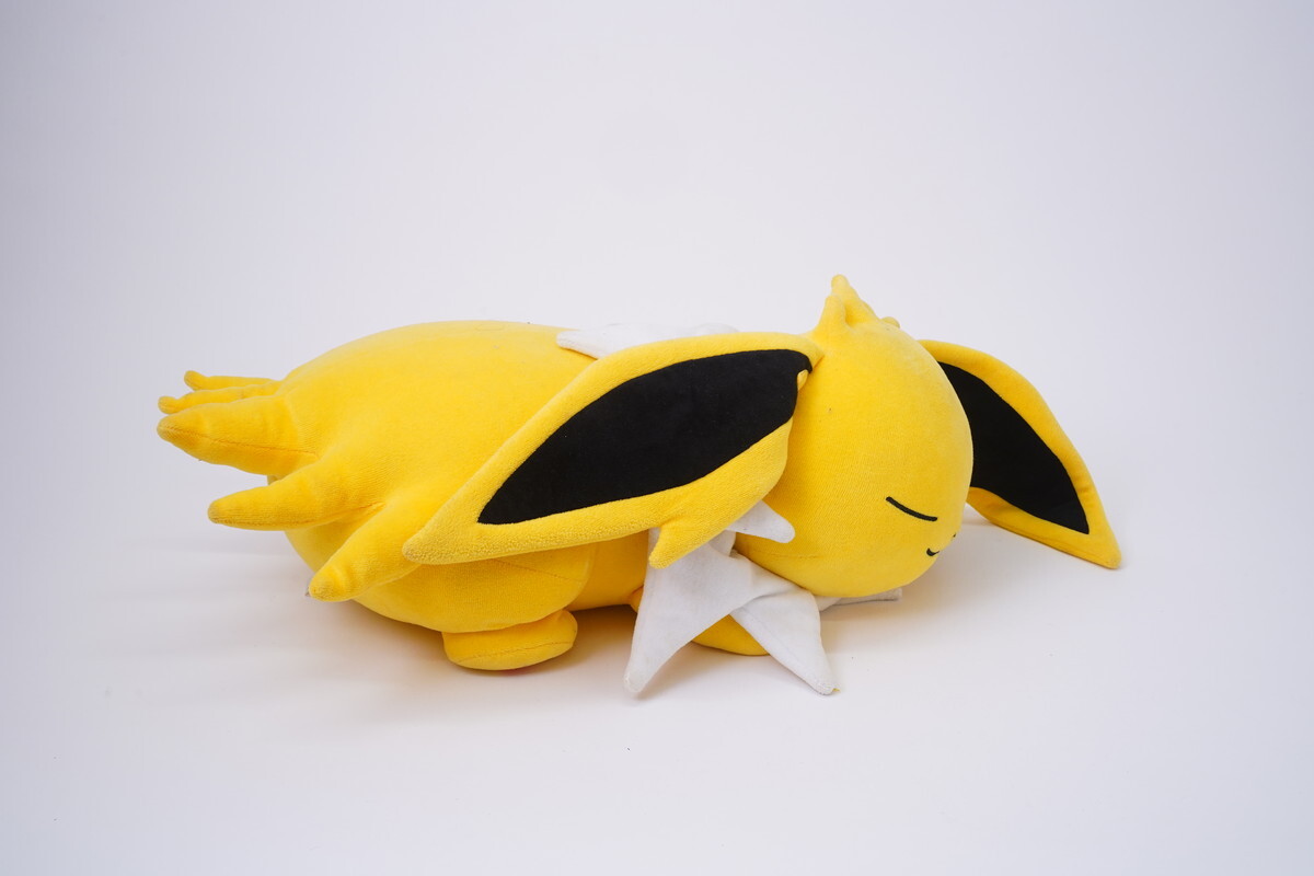 ぬいぐるみ すやすやブースター : ポケモンセンターオンライン