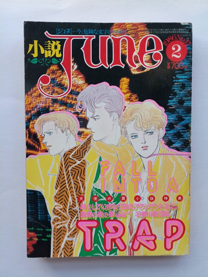小説JUNE ジュネ 1986年2月号 東京グランギニョル マーキュロ