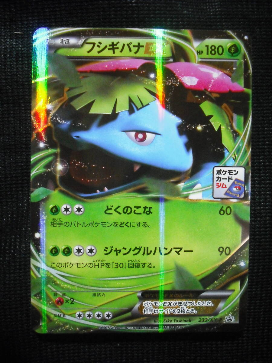 Yahoo!オークション -「ポケモンxy フシギバナ」(ポケモンカード Yahoo!オークション -「ポケモンxy フシギバナ」(ポケモンカード