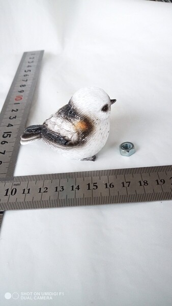 リアワイパーキャップ、リアワイパー、キャンプ、ハイエース、ジムニー、インコ、文鳥
