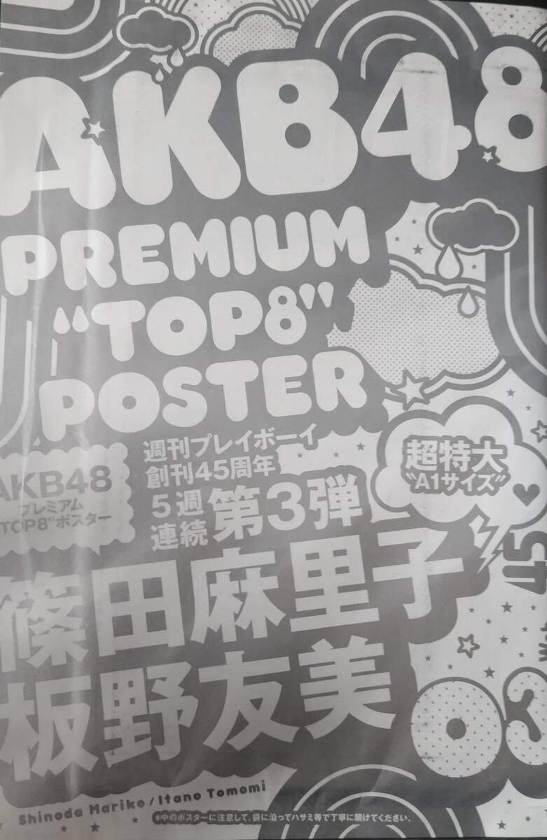 限定｝AKB　篠田麻里子、板野友美　ポスター