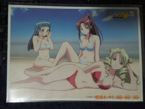 天条院沙姫 九条凛 藤崎綾 水着Ver. B6ステッカー /「To LOVEる -とらぶる- ワクワク! 林間学校編」/ DS&PSP 限定版 シール