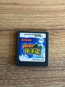 25A105:任天堂 DS パワポケ甲子園 同梱・まとめて購入OK
