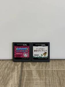 25B30:どこでもラクラク!DS家計簿 がんばる私家計ダイアリー  同梱・まとめて購入OK