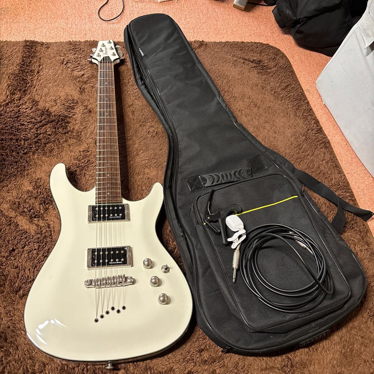 2025年最新】Yahoo!オークション -ibanez ギターケース(本体)の 2025年最新】Yahoo!オークション -ibanez ギターケース(本体)の