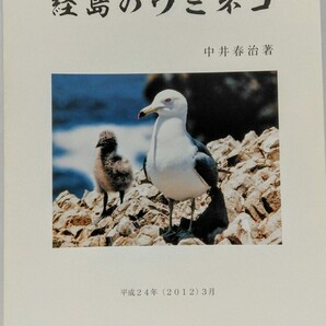 美品◆◆経島のウミネコ 中井春治◆◆島根県出雲市大社町 日御碕 日御碕神社霊域 海猫☆分布 生態 飛来数 警戒心 夜間 受難 繁殖不調 漁師