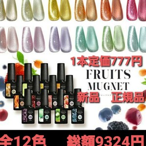 フルーツマグネットネイル12色1セットのみ。新品正規品 人気商品!