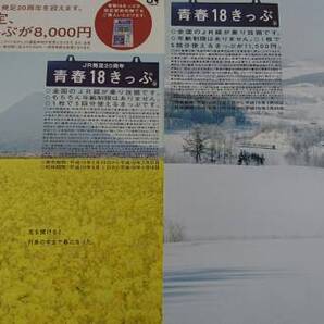 送料込 即決 青春18きっぷ平成18年・19年春 駅 パンフレット チラシ 2枚組