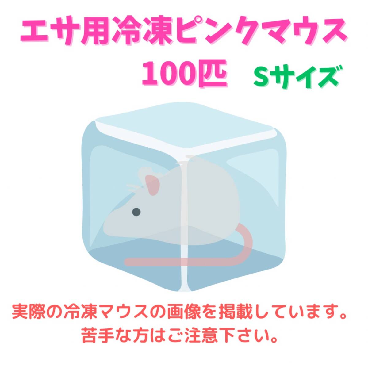 2025年最新】Yahoo!オークション -冷凍マウス ピンクマウスの 2025年最新】Yahoo!オークション -冷凍マウス ピンクマウスの