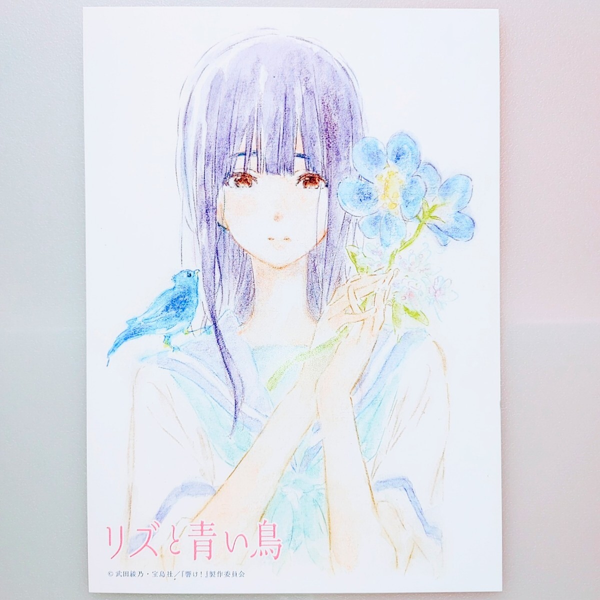 Yahoo!オークション -「鎧塚みぞれ」(コミック、アニメグッズ Yahoo!オークション -「鎧塚みぞれ」(コミック、アニメグッズ