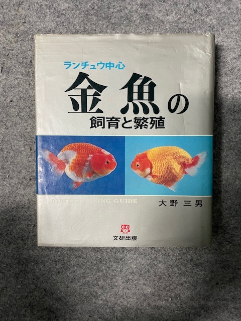 らんちゅう ランチュウ中心 金魚の飼育と繁殖 大野三男 文研出版