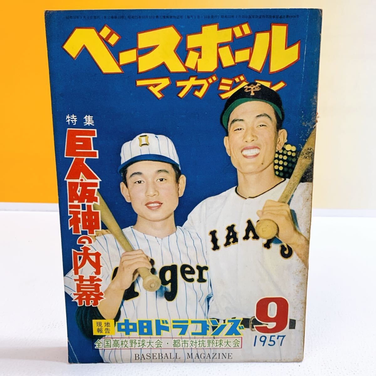 プレミアMizunoPro 中日ドラゴンズ 2007年優勝メンバーサイン