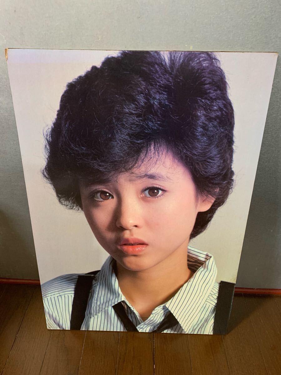 2025年最新】Yahoo!オークション -松田聖子 パネルの中古品