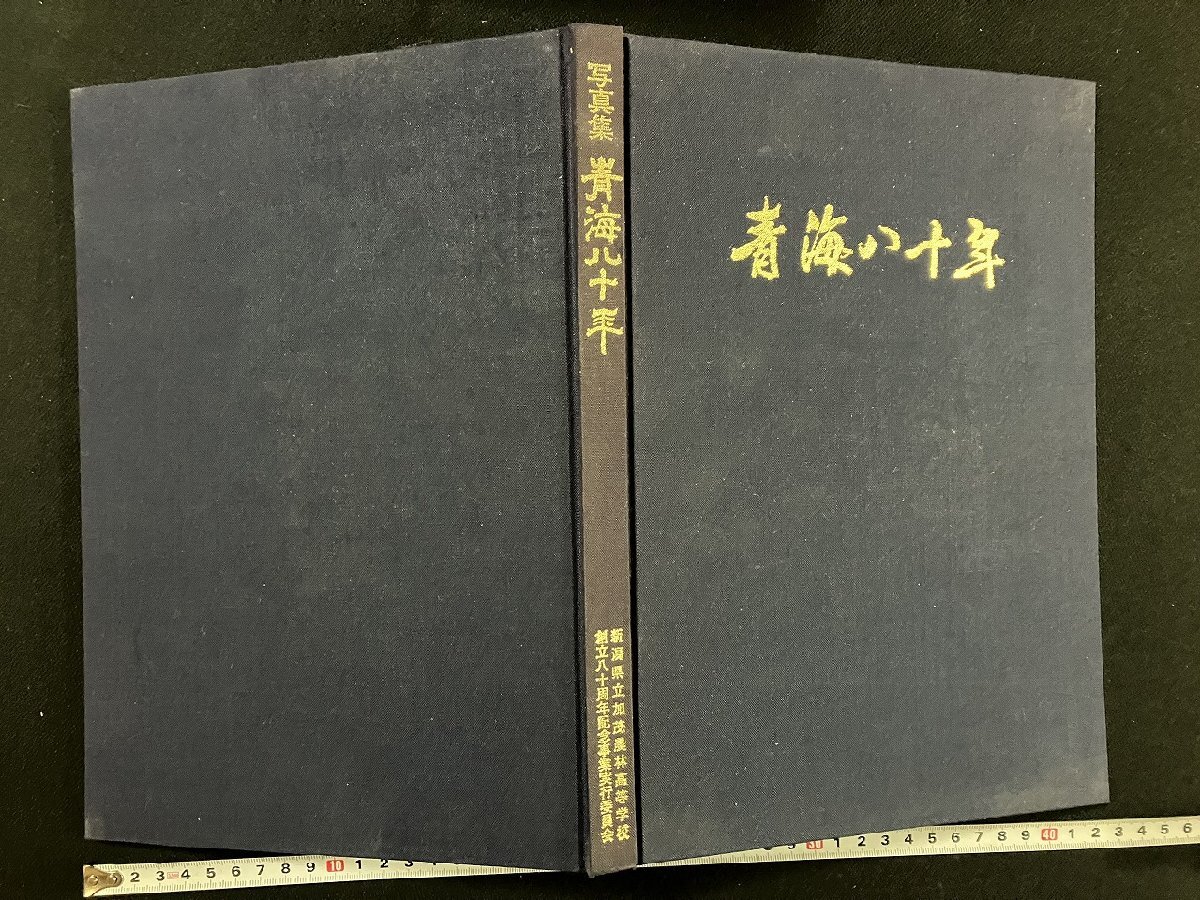 2025年最新】Yahoo!オークション -#加茂農林の中古品・新品・未 2025年最新】Yahoo!オークション -#加茂農林の中古品・新品・未