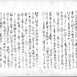水戸諸書(桜田門外の変)+解読文 デジタル古文書 幕末井伊直弼彦根藩主幕府大老井伊掃部頭水戸薩摩浪士
