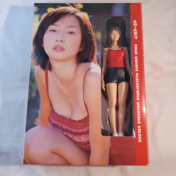 酒井若菜フィギュア付き写真集Do‐dai? 〔撮影〕渡辺達生